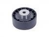 Idler Pulley:074 109 243 A