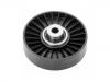 руководство шкив Idler Pulley:73051924